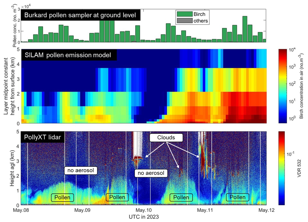 Pollen observations: Burkard vs SILAM vs PollyXT