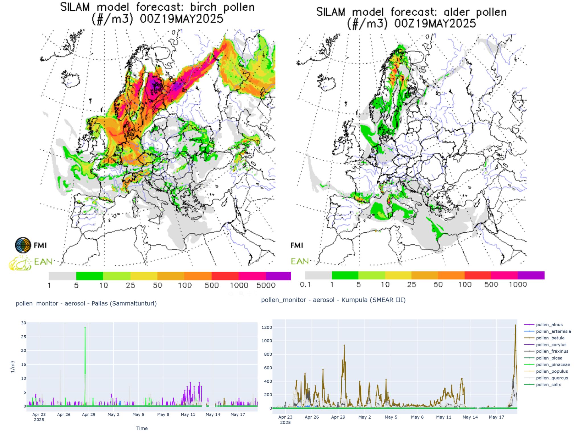 Pollen observations vs forecast in Finland