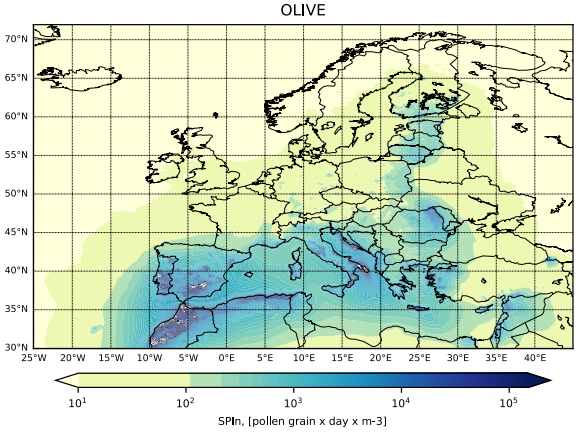 Pollen reanalysis: Olive