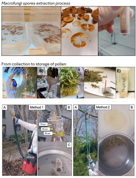 Physical reference dataset: Sampling